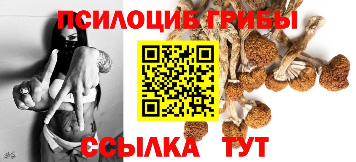 Галлюциногенные грибы мухоморы Кизляр