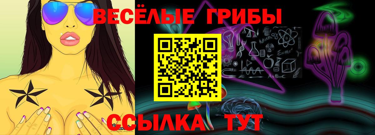 Кизляр  Псилоцибиновые грибы Psilocybe  Псилоцибиновые грибы мухоморы  Вход с VPN 